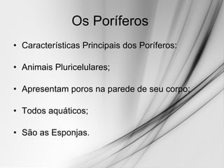Os Poríferos  Características Principais dos Poríferos: Animais Pluricelulares; Apresentam poros na parede de seu corpo; Todos aquáticos; São as Esponjas. 