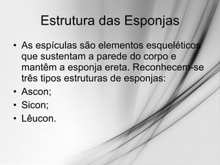 Estrutura das Esponjas As espículas são elementos esqueléticos que sustentam a parede do corpo e mantêm a esponja ereta. Reconhecem-se três tipos estruturas de esponjas:  Ascon; Sicon; Lêucon. 