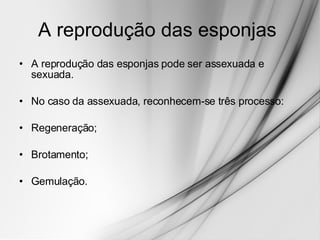 A reprodução das esponjas  A reprodução das esponjas pode ser assexuada e sexuada.  No caso da assexuada, reconhecem-se três processo: Regeneração;  Brotamento;  Gemulação. 