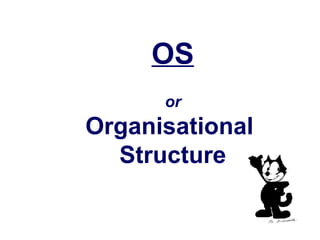 OS or Organisational  Structure 