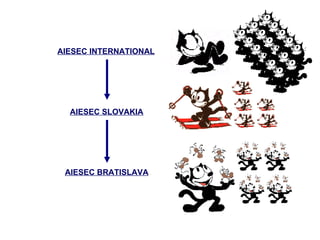 AIESEC INTERNATIONAL AIESEC SLOVAKIA AIESEC BRATISLAVA 