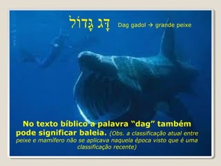 No texto bíblico a palavra “dag” também
pode significar baleia. (Obs. a classificação atual entre
peixe e mamífero não se aplicava naquela época visto que é uma
classificação recente)
Dag gadol  grande peixe
 