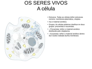    
OS SERES VIVOS
A célula
● Estrutura. Todas as células teñen estruturas
comúns: membrana plasmática, citoplas-
● ma e material xenético.
● Grupos. As células pódense clasificar en dous
grupos: procariotas e eucariotas.
● – Procariotas: teñen o material xenético
distribuído polo citoplasma.
● – Eucariotas: teñen o material xenético dentro
dun núcleo rodeado dunha membrana
 