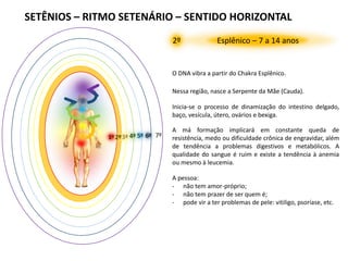 Sentido Horizontal Os-Setenios,-Chakras,-Corpos,-etc.-(slide-impressao).pdf