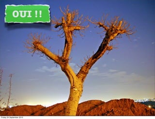 OUI !!




Friday 24 September 2010
 