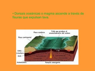 • Dorsais oceánicas o magma ascende a través de
fisuras que expulsan lava.
 
