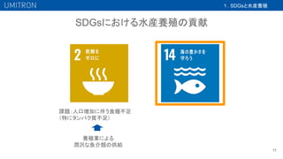 SDGsにおける水産養殖の貢献
11
１．SDGsと水産養殖
課題：人口増加に伴う食糧不足　 　
（特にタンパク質不足）
養殖業による
潤沢な魚介類の供給
 