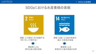 SDGsにおける水産養殖の貢献
13
１．SDGsと水産養殖
課題：乱獲による海洋資源の
　　　減少・生態系の破壊
課題：人口増加に伴う食糧不足　 　
（特にタンパク質不足）
養殖業による
潤沢な魚介類の供給
養殖業による
管理された海洋資源の活用
 