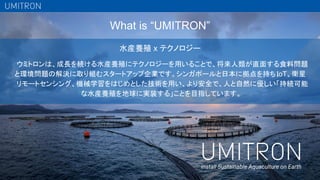 What is “UMITRON”
3
install Sustainable Aquaculture on Earth
水産養殖 x テクノロジー
ウミトロンは、成長を続ける水産養殖にテクノロジーを用いることで、将来人類が直面する食料問題
と環境問題の解決に取り組むスタートアップ企業です。シンガポールと日本に拠点を持ち、
IoT、衛星
リモートセンシング、機械学習をはじめとした技術を用い、より安全で、人と自然に優しい「持続可能
な水産養殖を地球に実装する」ことを目指しています。
 