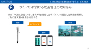ウミトロンにおける成長管理の取り組み
31
UMITRON LENS（ステレオカメラを搭載したデバイス）で撮影した映像を解析し
，魚の尾叉長・体重を推定する．
撮影 解析
操作
２．持続可能な水産養殖を実現するセンシング/解析技術
IoTデバイス
 