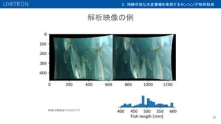 解析映像の例
32
映像は開発途中のものです
２．持続可能な水産養殖を実現するセンシング/解析技術
 