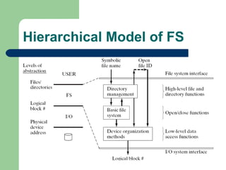 Hierarchical Model of FS 