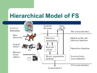 Hierarchical Model of FS 