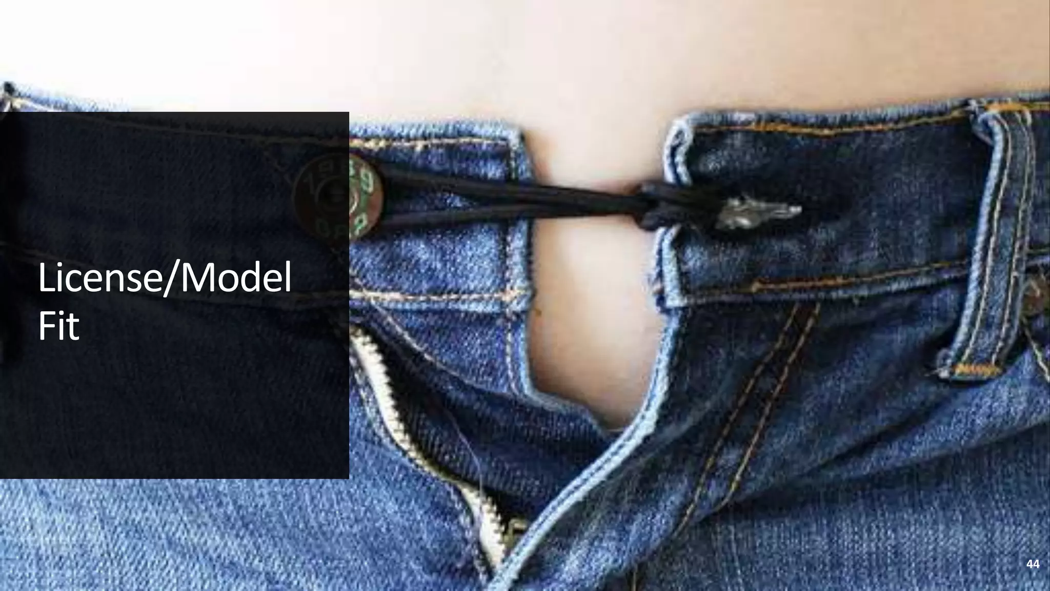 License/Model
Fit
44
 