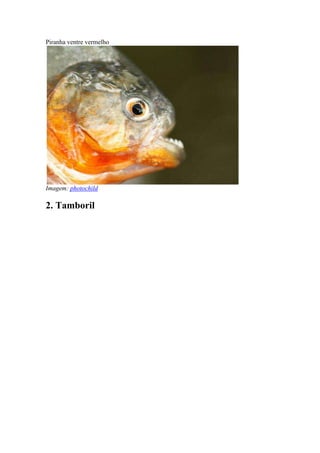 Peixes Dificil, PDF, Caça