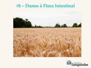 #8 – Danos à Flora Intestinal
 