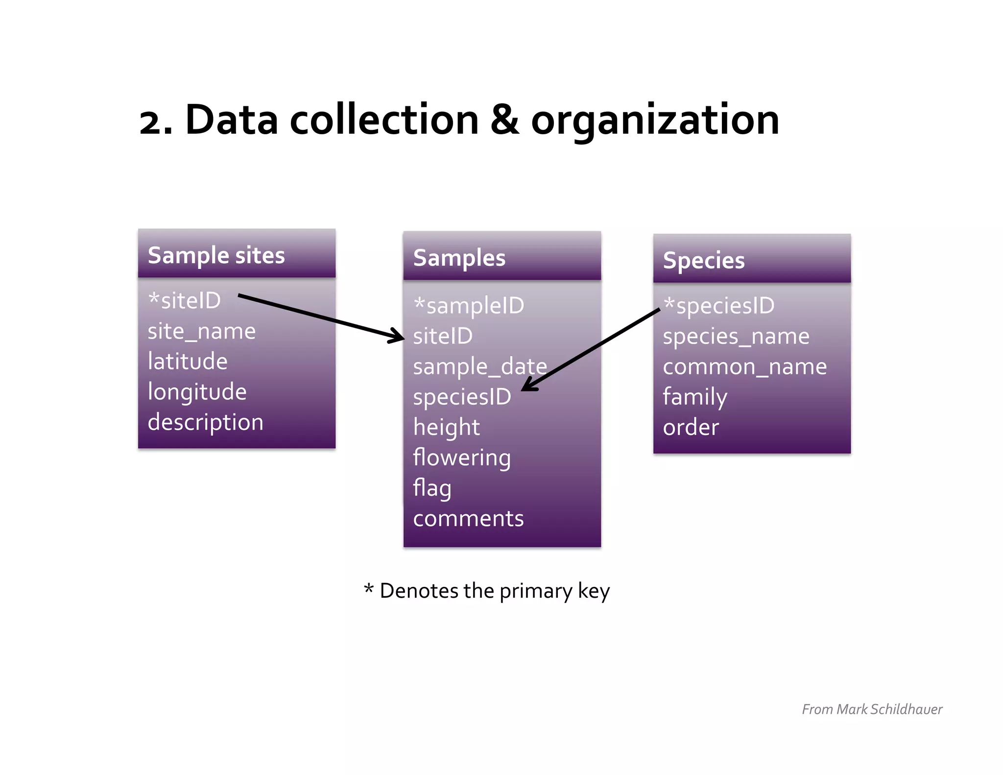 2.	
  Data	
  collection	
  &	
  organization	
  

Sample	
  sites	
             samples	
  
                              Samples	
                           Species	
  
*siteID	
                     *sampleID	
  
                              *sampleID	
                         *speciesID	
  
site_name	
                   siteID	
  
                              siteID	
  
                              sample_date	
  
                                                                  species_name	
  
latitude	
                    sample_date	
                       common_name	
  
                              speciesID	
  
longitude	
                   speciesID	
  
                              height	
                            family	
  
description	
                 height	
  
                              ﬂowering	
                          order	
  
                              ﬂowering	
  
                              ﬂag	
  
                              comments	
  
                              ﬂag	
  
                              comments	
  

                      *	
  Denotes	
  the	
  primary	
  key	
  




                                                                                From	
  Mark	
  Schildhauer	
  
 