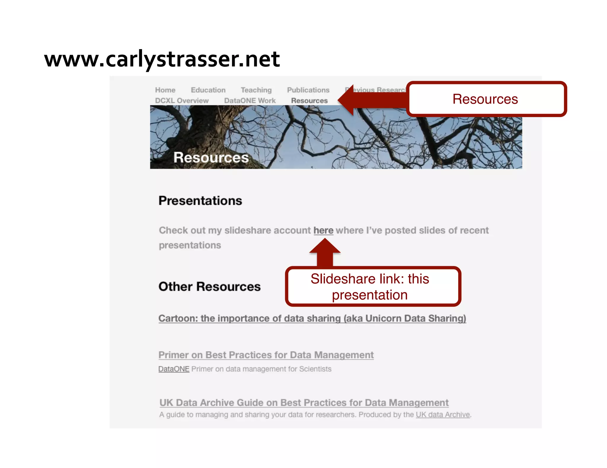 www.carlystrasser.net	
  
                                                    Resources"




                            Slideshare link: this
                                presentation"
 