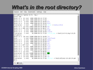 What's in the root directory? 