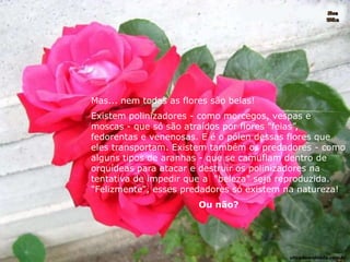 Mas... nem todas as flores são belas!
Existem polinizadores - como morcegos, vespas e
moscas - que só são atraídos por flores "feias”,
fedorentas e venenosas. E é o pólen dessas flores que
eles transportam. Existem também os predadores - como
alguns tipos de aranhas - que se camuflam dentro de
orquídeas para atacar e destruir os polinizadores na
tentativa de impedir que a "beleza" seja reproduzida.
"Felizmente", esses predadores só existem na natureza!
Ou não?
ultradownloads.com.br
 