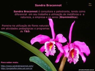 Sandra Braconnot é consultora e palestrante, tendo como
diferencial em seu trabalho a utilização de metáforas e a
natureza, a empresa e os seres (Biomimética).
Sandra Braconnot
Para saber mais:
http://www.sandrabraconnot.com/
http://projetoflor.sites.uol.com.br
Pioneira na utilização de flores naturais
em atividades pedagógicas e programas
de T&D.
ultradownloads.com.br
 