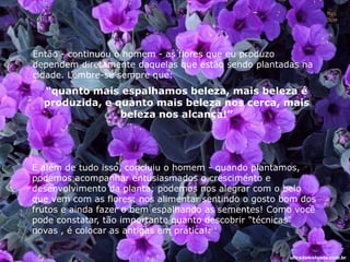 Então - continuou o homem - as flores que eu produzo
dependem diretamente daquelas que estão sendo plantadas na
cidade. Lembre-se sempre que:
“quanto mais espalhamos beleza, mais beleza é
produzida, e quanto mais beleza nos cerca, mais
beleza nos alcança!”
E além de tudo isso, concluiu o homem - quando plantamos,
podemos acompanhar entusiasmados o crescimento e
desenvolvimento da planta; podemos nos alegrar com o belo
que vem com as flores; nos alimentar sentindo o gosto bom dos
frutos e ainda fazer o bem espalhando as sementes! Como você
pode constatar, tão importante quanto descobrir "técnicas"
novas , é colocar as antigas em prática!
ultradownloads.com.br
 
