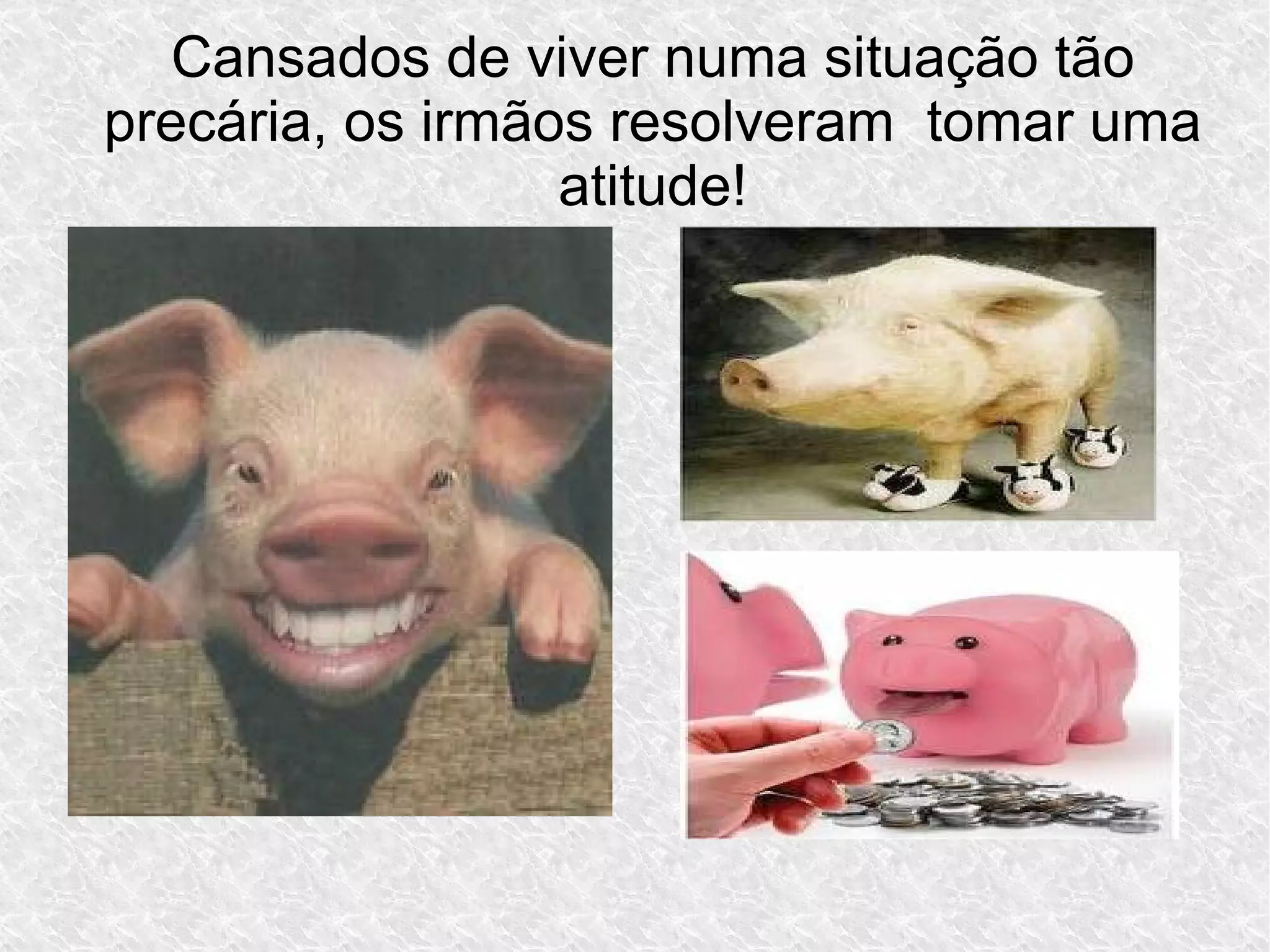 Cansados de viver numa situação tão
precária, os irmãos resolveram tomar uma
atitude!