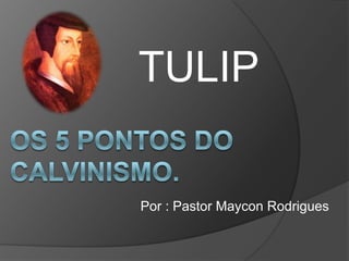 TULIP Os 5 Pontos do calvinismo.  Por : Pastor Maycon Rodrigues 