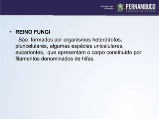• REINO FUNGI
São formados por organismos heterótrofos,
pluricelulares, algumas espécies unicelulares,
eucariontes, que apresentam o corpo constituído por
filamentos denominados de hifas.
 