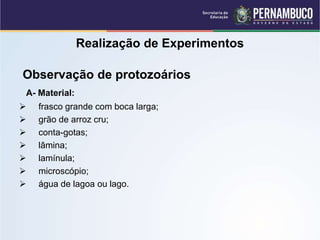 Realização de Experimentos
Observação de protozoários
A- Material:
 frasco grande com boca larga;
 grão de arroz cru;
 conta-gotas;
 lâmina;
 lamínula;
 microscópio;
 água de lagoa ou lago.
 