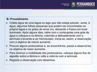 B- Procedimento
 Colete água de uma lagoa ou lago que não esteja poluído. Junte, à
água, algumas folhas pequenas que podem ser encontradas na
própria lagoa e os grãos de arroz cru, deixando o frasco em local
iluminado. Após alguns dias, retire com o conta-gotas uma gota de
água e coloque-a na lâmina, cobrindo-a delicadamente com a
lamínula e levando-a ao microscópio. Inicia-se, assim, a observação
com a objetiva de menor aumento.
 Procure alguns protozoários e, ao encontrá-los, passe a observá-los
na objetiva de maior aumento.
 Para diminuir a mobilidade dos protozoários, coloque alguns fios de
algodão sobre a lâmina e volte a cobri-la com a lamínula.
 Registre a observação com desenhos.
 
