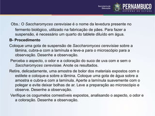 Obs.: O Saccharomyces cerevisiae é o nome da levedura presente no
fermento biológico, utilizado na fabricação de pães. Para fazer a
suspensão, é necessário um quarto do tablete diluído em água.
B- Procedimento
Coloque uma gota de suspensão de Saccharomyces cerevisiae sobre a
lâmina, cubra-a com a lamínula e leve-a para o microscópio para a
observação. Desenhe a observação.
Perceba o aspecto, o odor e a coloração do suco de uva com e sem o
Saccharomyces cerevisiae. Anote os resultados.
Retire, delicadamente, uma amostra de bolor dos materiais expostos com o
estilete e coloque-a sobre a lâmina. Coloque uma gota de água sobre a
amostra e cubra-a com a lamínula. Aperte a lamínula suavemente com o
polegar e evite deixar bolhas de ar. Leve a preparação ao microscópio e
observe. Desenhe a observação.
Verifique os cogumelos comestíveis expostos, analisando o aspecto, o odor e
a coloração. Desenhe a observação.
 