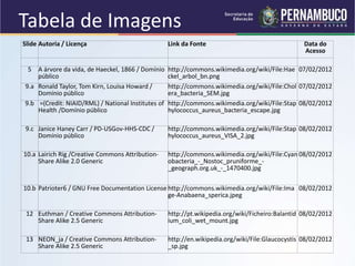 Slide Autoria / Licença Link da Fonte Data do
Acesso
5 A árvore da vida, de Haeckel, 1866 / Domínio
público
http://commons.wikimedia.org/wiki/File:Hae
ckel_arbol_bn.png
07/02/2012
9.a Ronald Taylor, Tom Kirn, Louisa Howard /
Domínio público
http://commons.wikimedia.org/wiki/File:Chol
era_bacteria_SEM.jpg
07/02/2012
9.b =(Credit: NIAID/RML) / National Institutes of
Health /Domínio público
http://commons.wikimedia.org/wiki/File:Stap
hylococcus_aureus_bacteria_escape.jpg
08/02/2012
9.c Janice Haney Carr / PD-USGov-HHS-CDC /
Domínio público
http://commons.wikimedia.org/wiki/File:Stap
hylococcus_aureus_VISA_2.jpg
08/02/2012
10.a Lairich Rig /Creative Commons Attribution-
Share Alike 2.0 Generic
http://commons.wikimedia.org/wiki/File:Cyan
obacteria_-_Nostoc_pruniforme_-
_geograph.org.uk_-_1470400.jpg
08/02/2012
10.b Patrioter6 / GNU Free Documentation License http://commons.wikimedia.org/wiki/File:Ima
ge-Anabaena_sperica.jpeg
08/02/2012
12 Euthman / Creative Commons Attribution-
Share Alike 2.5 Generic
http://pt.wikipedia.org/wiki/Ficheiro:Balantid
ium_coli_wet_mount.jpg
08/02/2012
13 NEON_ja / Creative Commons Attribution-
Share Alike 2.5 Generic
http://en.wikipedia.org/wiki/File:Glaucocystis
_sp.jpg
08/02/2012
Tabela de Imagens
 