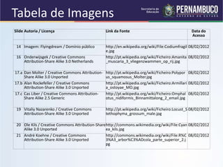 Slide Autoria / Licença Link da Fonte Data do
Acesso
14 Imagem: Flyingdream / Domínio público http://en.wikipedia.org/wiki/File:Codiumfragil
e.jpg
08/02/2012
16 Onderwijsgek / Creative Commons
Attribution-Share Alike 3.0 Netherlands
http://pt.wikipedia.org/wiki/Ficheiro:Amanita
_muscaria_3_vliegenzwammen_op_rij.jpg
08/02/2012
17.a Dan Molter / Creative Commons Attribution-
Share Alike 3.0 Unported
http://pt.wikipedia.org/wiki/Ficheiro:Polypor
us_squamosus_Molter.jpg
08/02/2012
17.b Alan Rockefeller / Creative Commons
Attribution-Share Alike 3.0 Unported
http://pt.wikipedia.org/wiki/Ficheiro:Armillari
a_ostoyae_MO.jpg
08/02/2012
17.c Cas Liber / Creative Commons Attribution-
Share Alike 2.5 Generic
http://pt.wikipedia.org/wiki/Ficheiro:Omphal
otus_nidiformis_Binnamittalong_2_email.jpg
08/02/2012
19 Vitaliy Nazarenko / Creative Commons
Attribution-Share Alike 3.0 Unported
http://pt.wikipedia.org/wiki/Ficheiro:Locust_S
tethophyma_grossum_male.jpg
08/02/2012
20 Ole Kils / Creative Commons Attribution-Share
Alike 3.0 Unported
http://commons.wikimedia.org/wiki/File:Cyan
ea_kils.jpg
08/02/2012
21 André Koehne / Creative Commons
Attribution-Share Alike 3.0 Unported
http://commons.wikimedia.org/wiki/File:R%C
3%A3_arbor%C3%ADcola_parte_superior_2.j
pg
08/02/2012
Tabela de Imagens
 