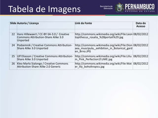Slide Autoria / Licença Link da Fonte Data do
Acesso
22 Hans Hillewaert / CC-BY-SA-3.0 / Creative
Commons Attribution-Share Alike 3.0
Unported
http://commons.wikimedia.org/wiki/File:Leon
topithecus_rosalia_%28portait%29.jpg
08/02/2012
24 Podzemnik / Creative Commons Attribution-
Share Alike 3.0 Unported
http://commons.wikimedia.org/wiki/File:Dion
aea_muscipula,_exhibition_in_Botanical_gard
en_Brno.JPG
08/02/2012
25 Ulf Eliasson / Creative Commons Attribution-
Share Alike 3.0 Unported
http://commons.wikimedia.org/wiki/File:Liliu
m_Pink_Perfection1f.UME.jpg
08/02/2012
26 Kleo Marlo Sialongo / Creative Commons
Attribution-Share Alike 2.0 Generic
http://commons.wikimedia.org/wiki/File:Wat
er_lily_boholtropics.jpg
08/02/2012
Tabela de Imagens
 