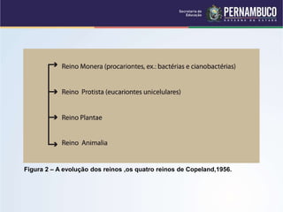 Figura 2 – A evolução dos reinos ,os quatro reinos de Copeland,1956.
 