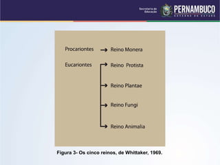 Figura 3- Os cinco reinos, de Whittaker, 1969.
 