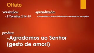 Olfato
versículos: aprendizado:
produz:
 