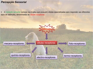 Percepção Sensorial


    A recepção sensorial começa nos órgãos que possuem células especializadas para responder aos diferentes
tipos de estímulos, denominadas de células receptoras.




                                                 estímulos




   mecano-receptores                       células receptoras                     foto-receptores




            quimio-receptores                                               termo-receptores
                                           electro-receptores
 
