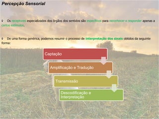 Percepção Sensorial


    Os receptores especializados dos órgãos dos sentidos são específicos para reconhecer e responder apenas a
certos estímulos.



    De uma forma genérica, podemos resumir o processo de interpretação dos sinais obtidos da seguinte
forma:


                              Captação


                                  Amplificação e Tradução


                                      Transmissão

                                          Descodificação e
                                          Interpretação
 