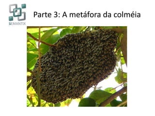 Parte 3: A metáfora da colméia
 
