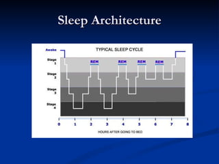 Sleep Architecture 