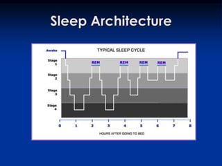 Sleep Architecture
 