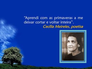 “Aprendi com as primaveras a me
deixar cortar e voltar inteira”.

Cecília Meireles, poetisa

 
