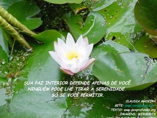 SUA PAZ INTERIOR DEPENDE APENAS DE VOCÊ. NINGUÉM PODE LHE TIRAR A SERENIDADE. SÓ SE VOCÊ PERMITIR. CLAUDIA MADEIRA SITE:  www.corepoesia.com   TEXTO: www.paxprofundis.org IMAGENS: WEBSHOTS SOM: “TURANDOT” DE PUCCINI 
