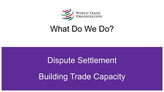 Dispute Settlement
Building Trade Capacity
What Do We Do?
 