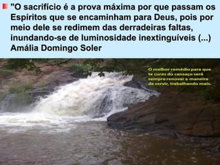 "O sacrifício é a prova máxima por que passam os
Espíritos que se encaminham para Deus, pois por
meio dele se redimem das derradeiras faltas,
inundando-se de luminosidade inextinguíveis (...)
Amália Domingo Soler
 