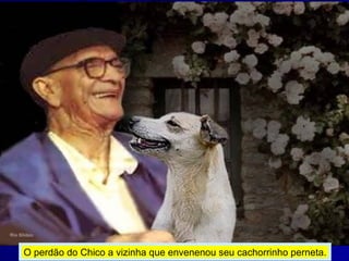 O perdão do Chico a vizinha que envenenou seu cachorrinho perneta.
 