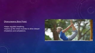 •Helps regulate breathing.
•Opens up the chest muscles to allow deeper
inhalations and exhalations.
Dhanurasana (Bow Pose)
 