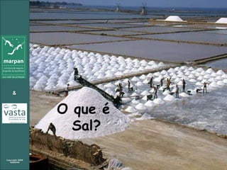 O que é  Sal? 